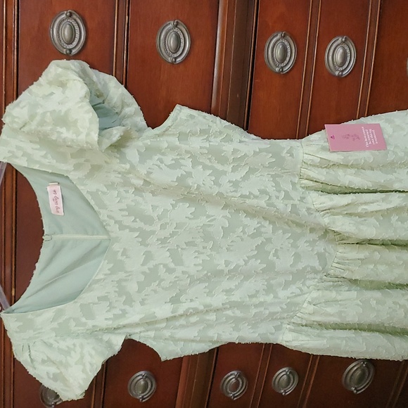 Ivy City Co, 8, Elegant Mint Green Lace Tiered Dress, NWT - Picture 5 of 10